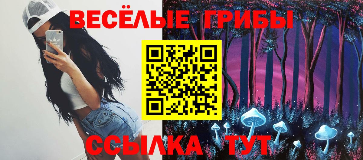Котельники  Псилоцибиновые грибы мухоморы  Галлюциногенные грибы Psilocybe  Вход с VPN 